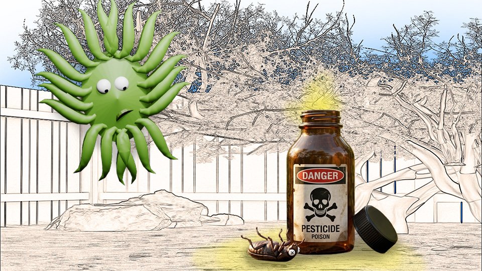 When to Use Pesticide and When to Leave It Alone