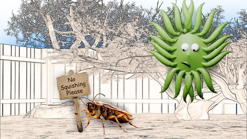 Why You Shouldn’t Kill Every Bug You See