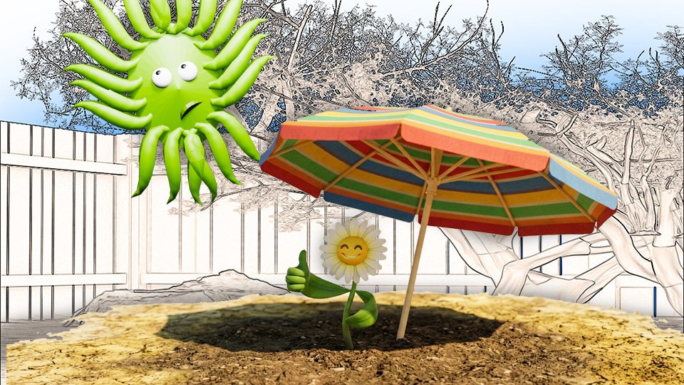 Sun Requirements: What Full Sun, Part Shade, and Full Shade Actually Mean