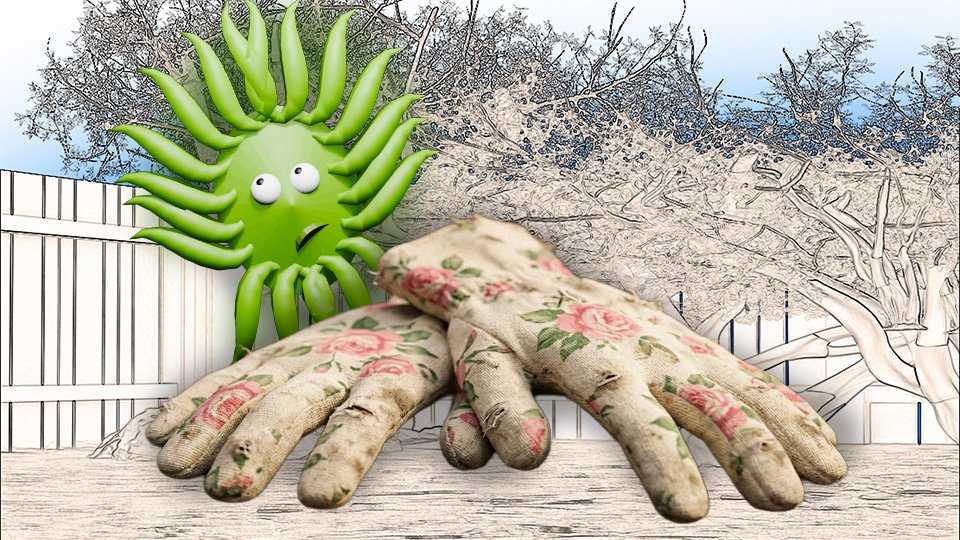 Why Your Cheap Garden Gloves Are Lying to You