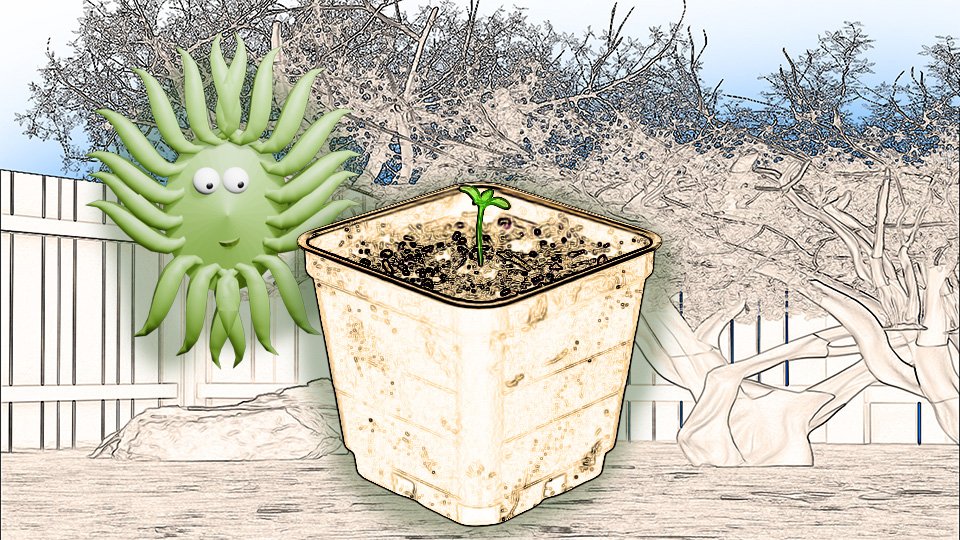 A 3D render of a sepia-toned tiny seedling in a post in the TangleWicket garden while Wicket looks on, by John D Reinhart