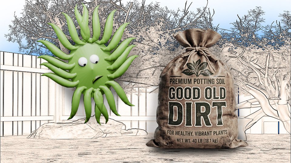 Soil: The Thing Beginners Ignore and Experts Obsess Over