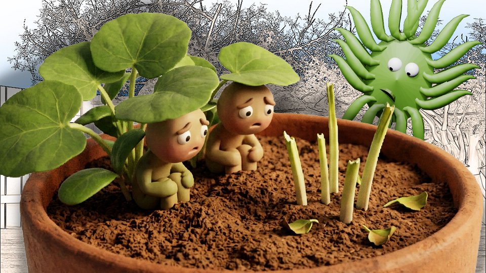 Thinning Seedlings: Why You Have to Kill Some to Save the Rest