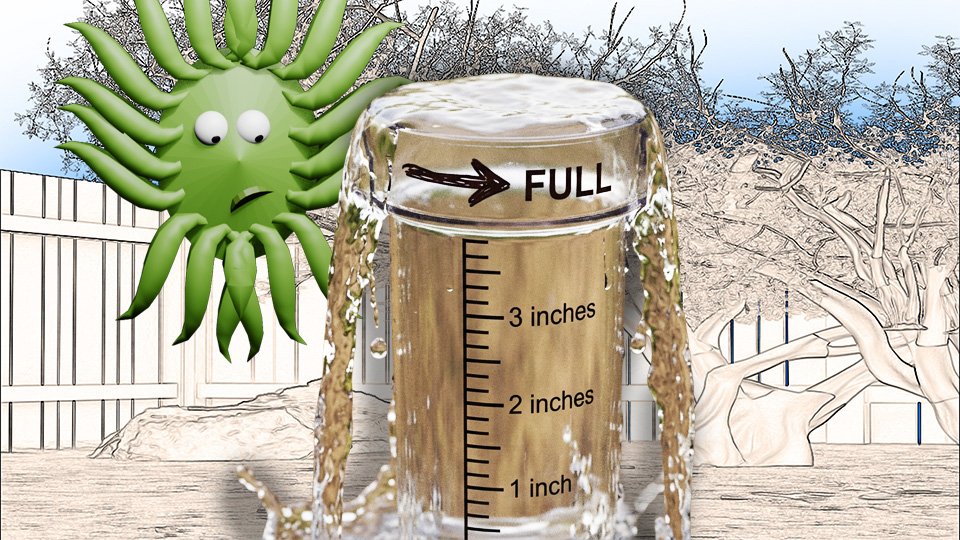 Rain Gauges: The Cheapest Tool That Tells You the Most