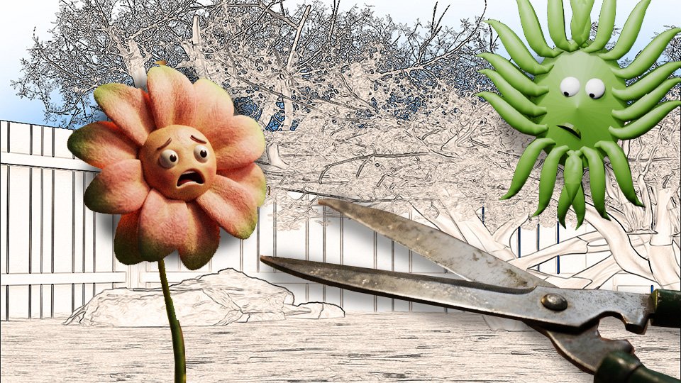 Cutting Flowers for the House Without Killing the Plant